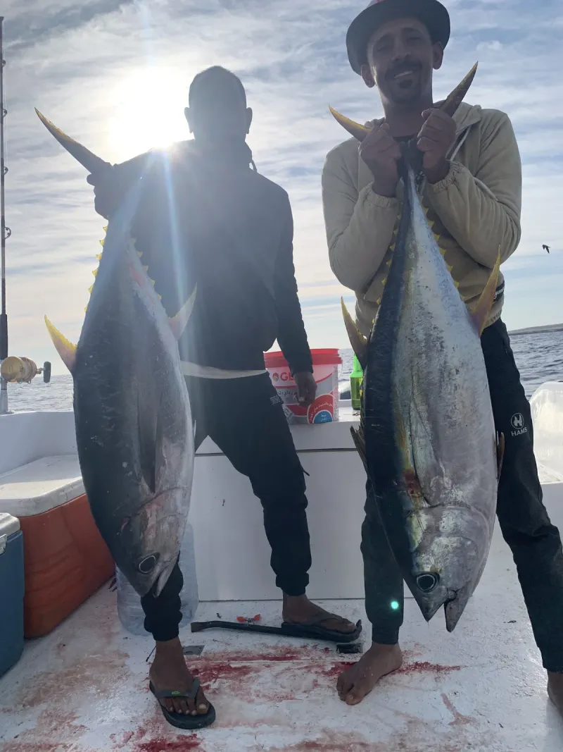 Orange Spotted Trevally