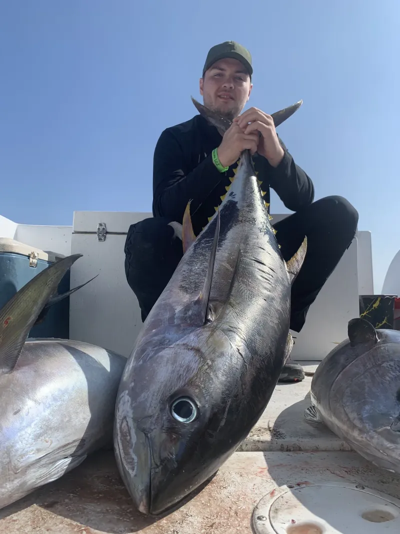 Brown Marbled Grouper