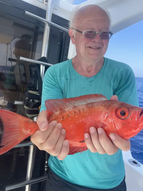 African Pompano