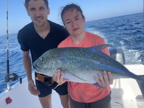 Brown Marbled Grouper