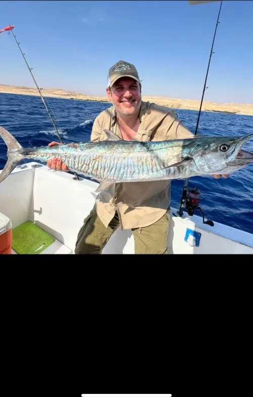 Dogtooth Tuna