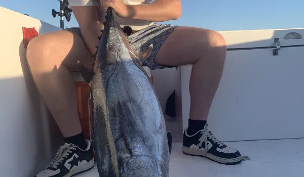 Game Fisher II