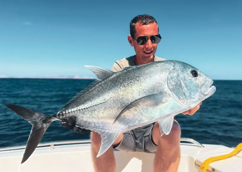 Giant Trevally (GT)