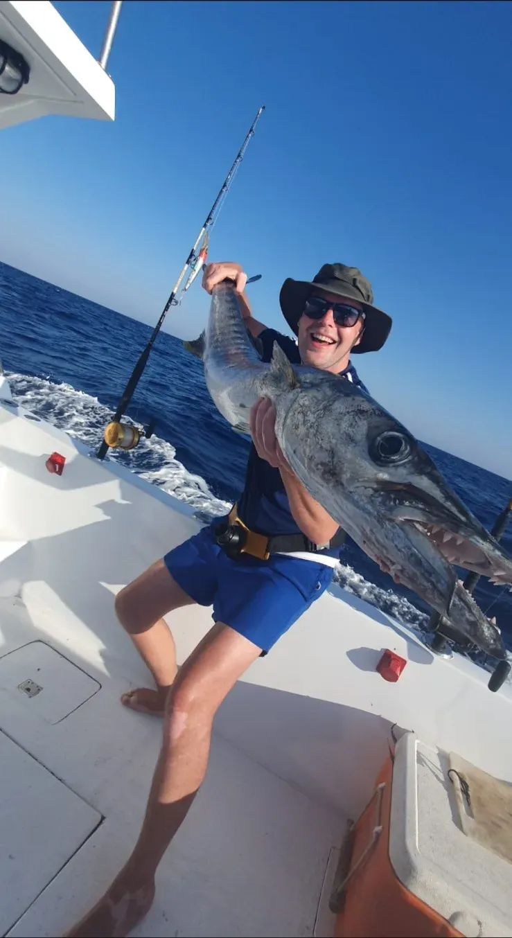 Great Barracuda