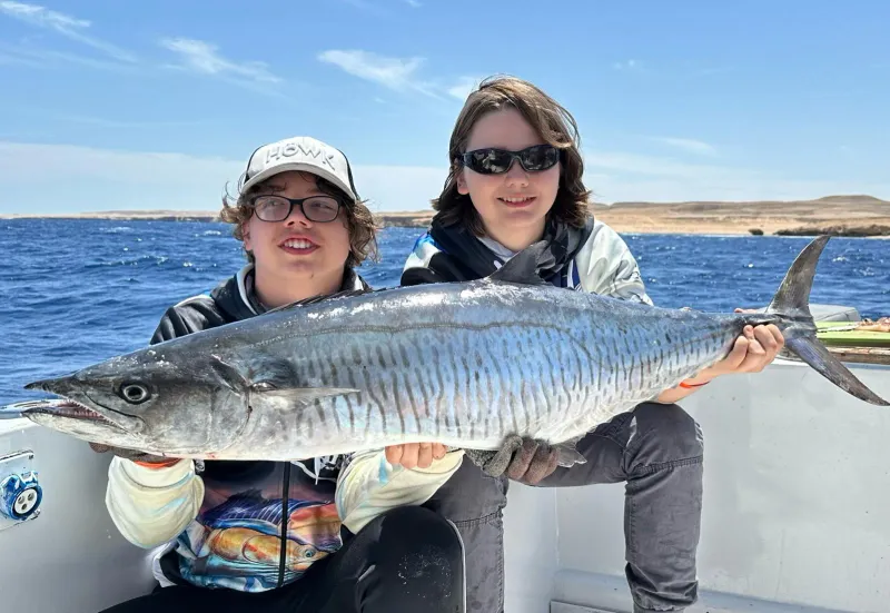 King Mackerel