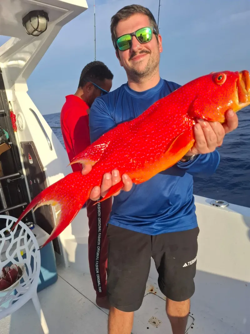 Moontail Grouper