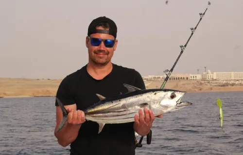 Skipjack Tuna