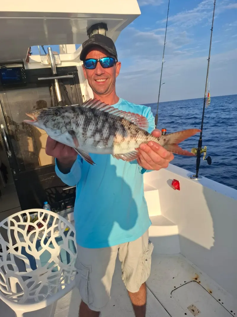 Black Banded Trevally