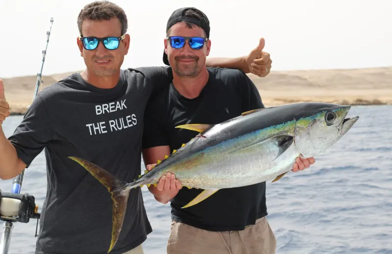 Yellowfin Tuna